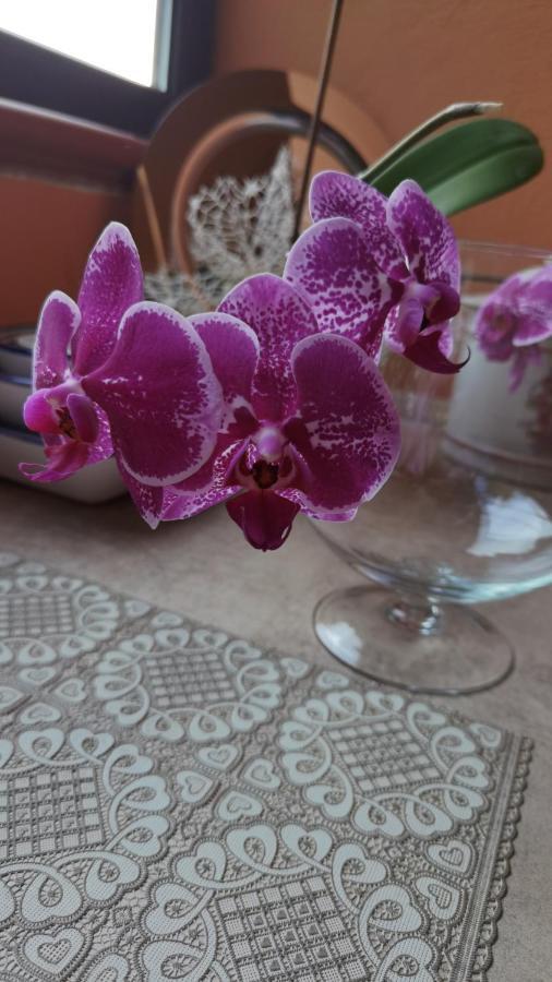 B&B Il Pasha' 캐피타나 외부 사진